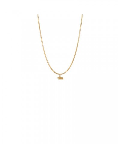 The Lonely Island Turtleneck & Chain Necklace $50.82 Accessories