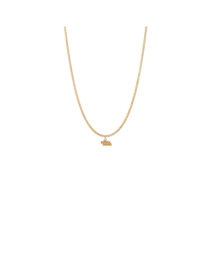 The Lonely Island Turtleneck & Chain Necklace $50.82 Accessories