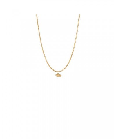 The Lonely Island Turtleneck & Chain Necklace $50.82 Accessories